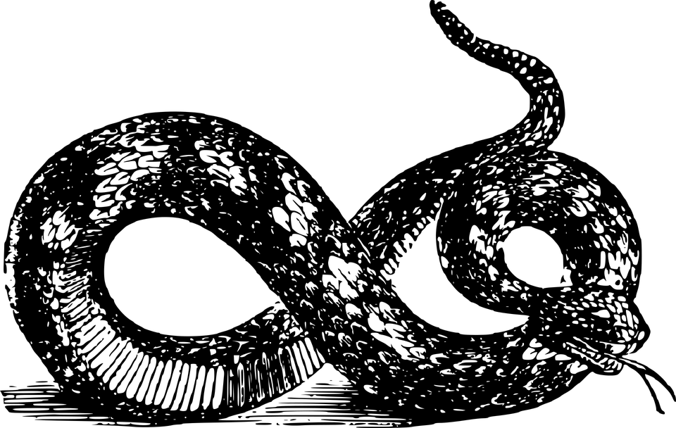 Kala Sarpa Yoga